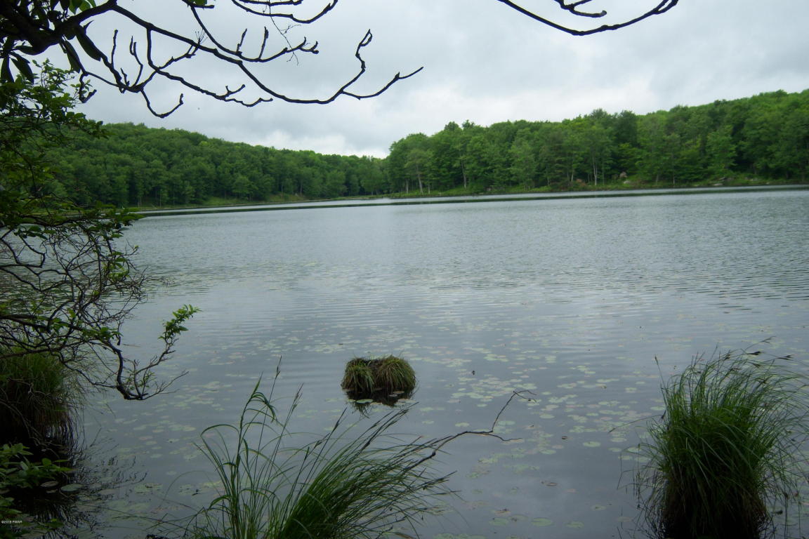 Lakeside Bungalow in Cobb's Lake Preserve
