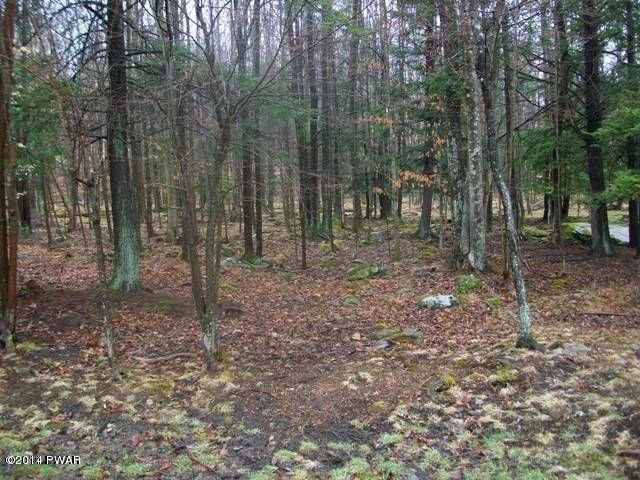 142 Underwood Lane, Lake Ariel PA-Wooded Lot for Sale in The Hideout