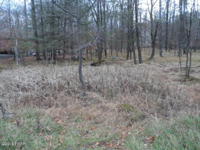 3201 North Gate Road - Wooded Lot in Hideout Community