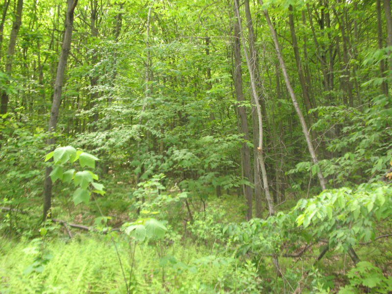 Flat Rock Road, Browndale PA: 17+ Private Acres For Sale