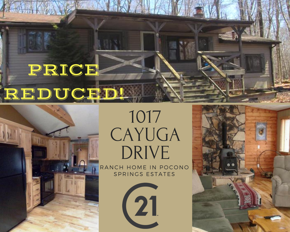 Price Reduced! 1017 Cayuga Drive: Ranch Home in Pocono Springs Estates, Gouldsboro