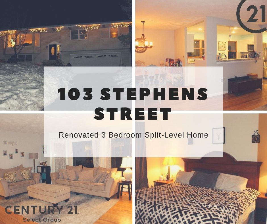 JUST REDUCED!!! 103 Stephens Street: Modern Moscow Split-Level