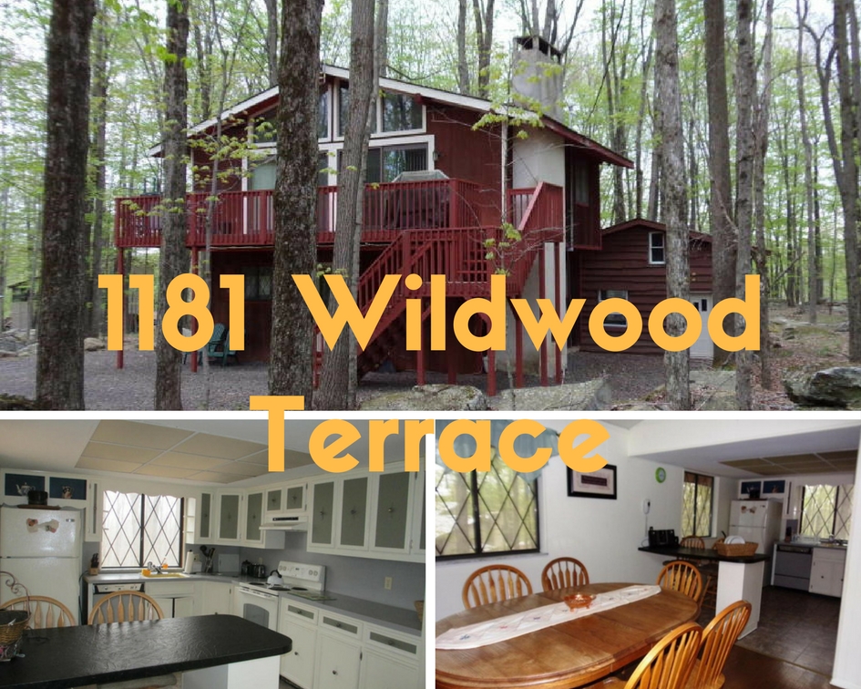 1181 Wildwood Terrace: Woodsy Hideout Raised Ranch