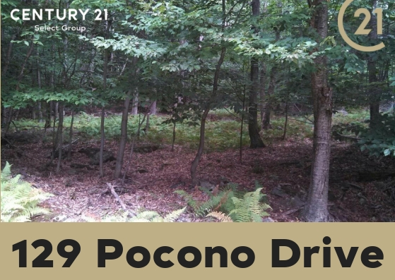 129 Pocono Drive East: Coveted Lot in Pocono Springs Estates