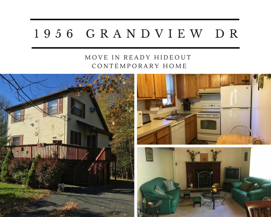 1956 Grandview Drive: Move In Ready Hideout Contemporary Home