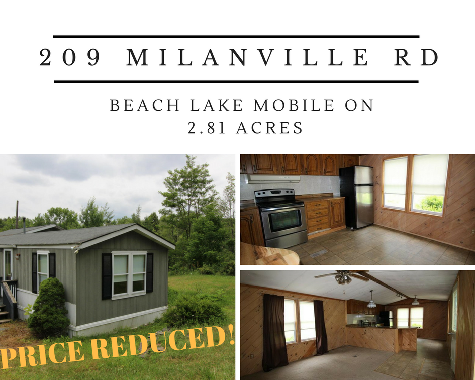 Price Reduced! 209 Milanville Road: Beach Lake Mobile on 2.81 Acres
