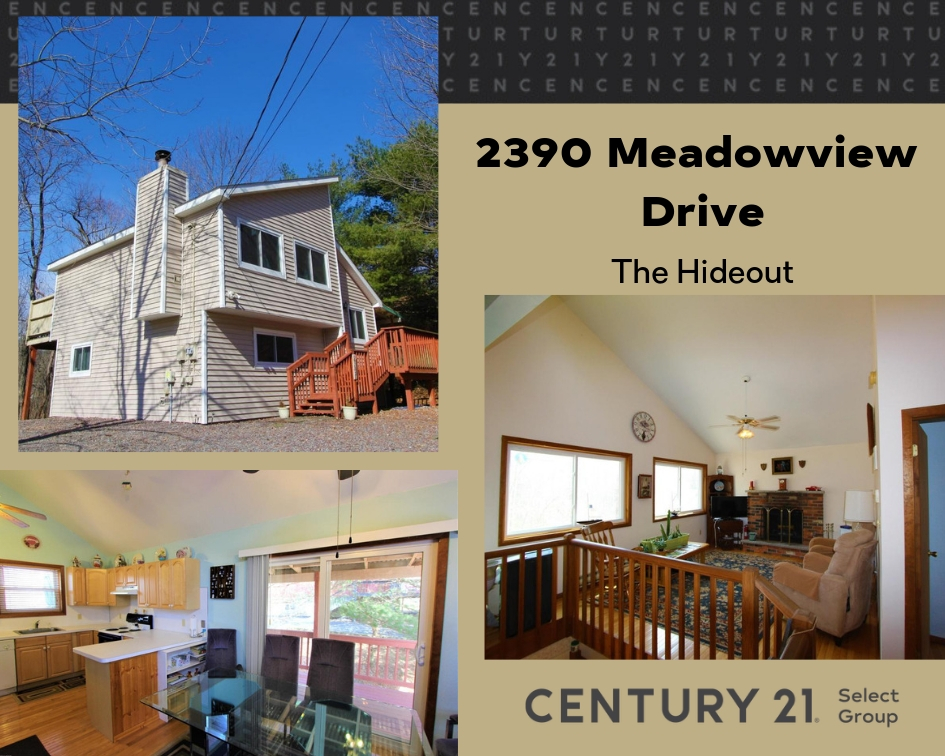 2390 Meadowview Drive: Tranquil Hideout Contemporary