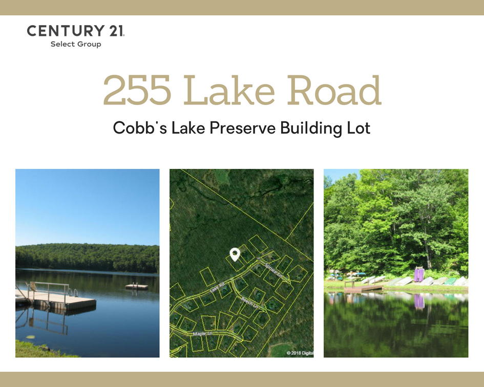 255 Lake Road: Cobb's Lake Building Lot