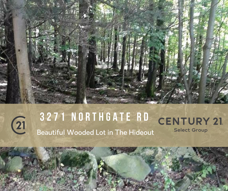 3271 Northgate Road, Lake Ariel PA: Beautiful Wooded Lot in The Hideout