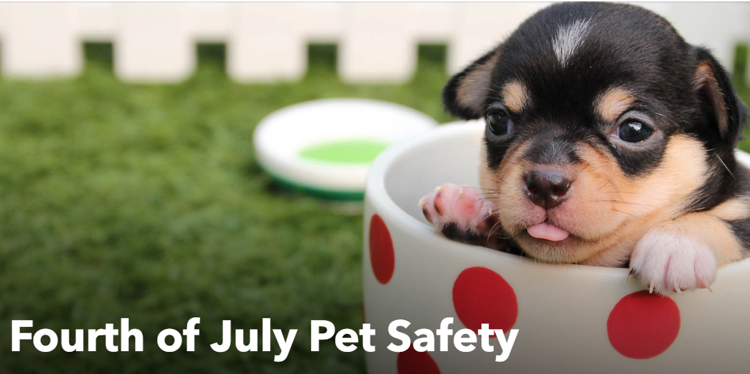 July 4th Safety