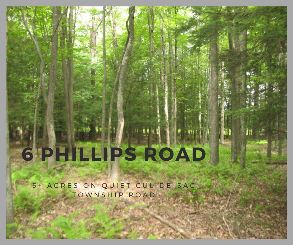 6 Phillips Road: 5+ Acres on Quiet Cul-de-sac Township Road
