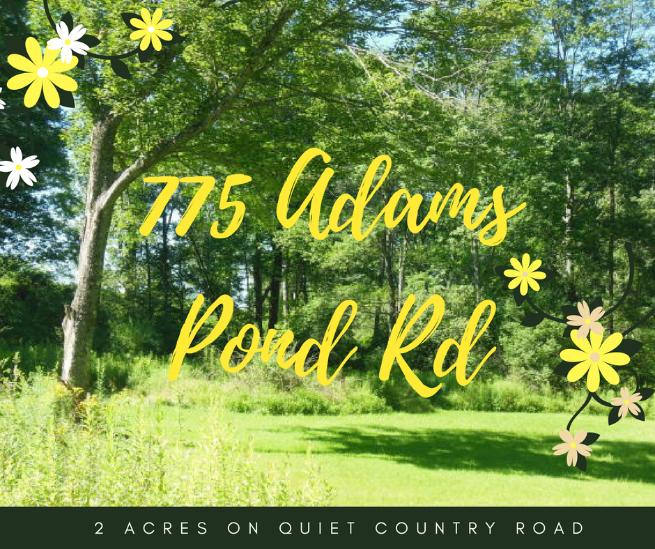 775 Adams Pond Road, Beach Lake PA: 2 Acres on Quiet Country Road