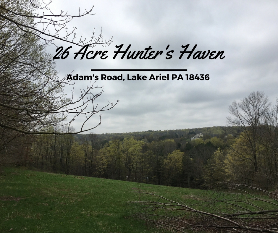 Adams Road, Lake Ariel PA: 26 Acre Hunter's Haven in Lake Ariel
