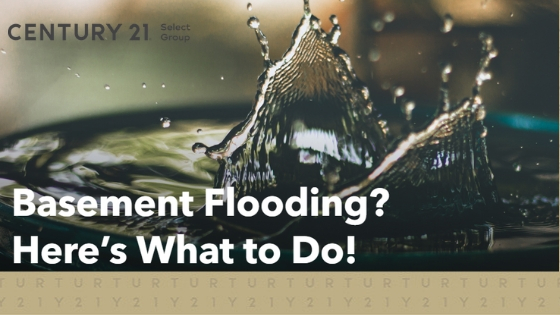 Basement Flooding? Here’s What to Do!