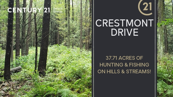 Crestmont Drive: 37.71 Acres of Newfoundland Hunting Land