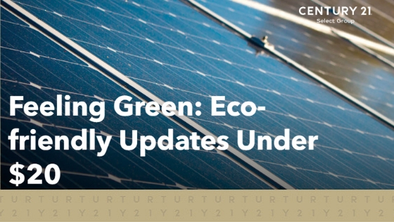 Feeling Green: Eco-friendly Updates Under $20