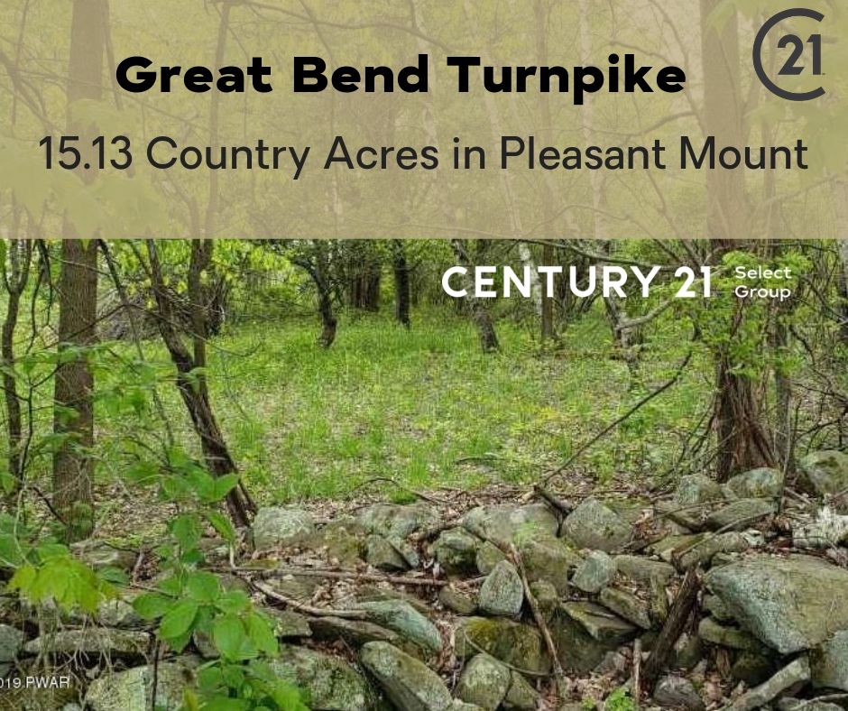 Great Bend Turnpike: 15.13 Country Acres in Pleasant Mount