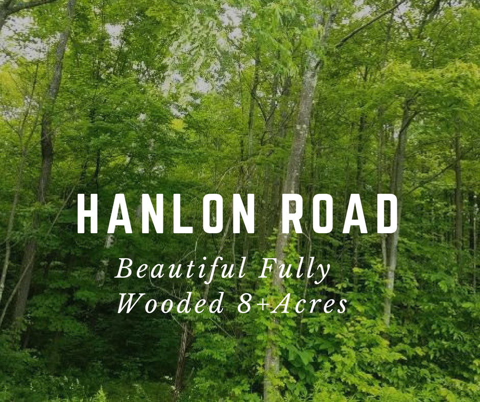 Hanlon Road, Lake Ariel PA: Beautiful Fully Wooded 8+ Acres
