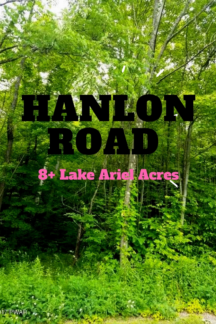 Hanlon Road: 8+ Acres in Lake Ariel