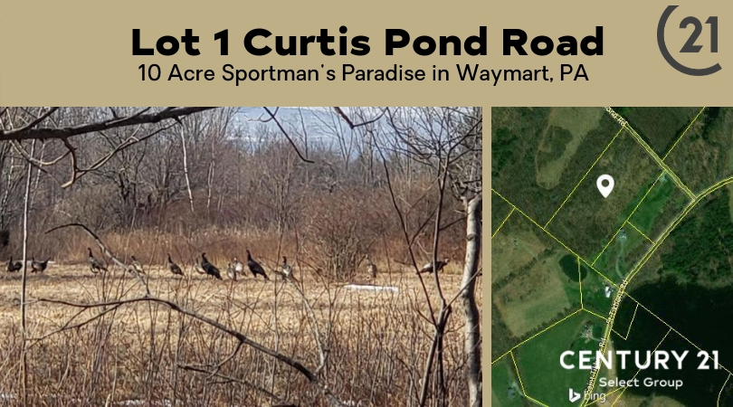 Lot 1 Curtis Pond Road: Sportsman's 10 Acre Paradise in Waymart