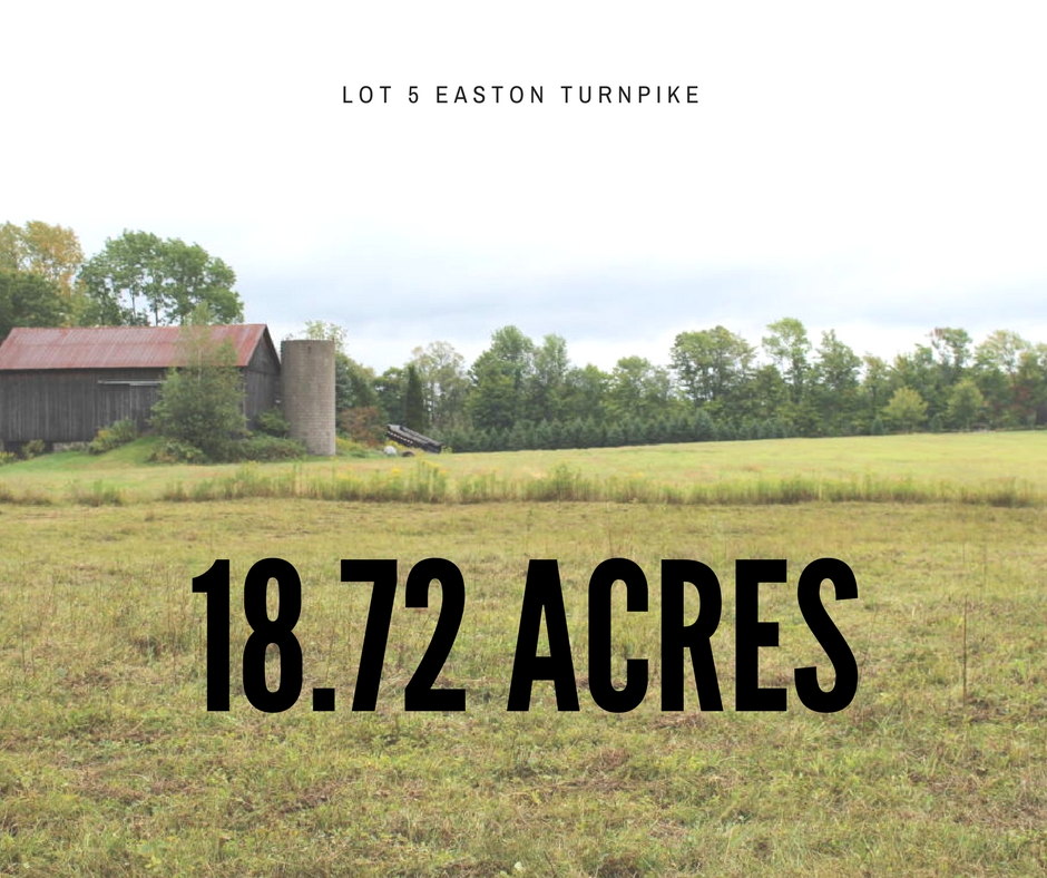 Lot 5 Easton Turnpike - 18.72 Acres to Build or Hunt