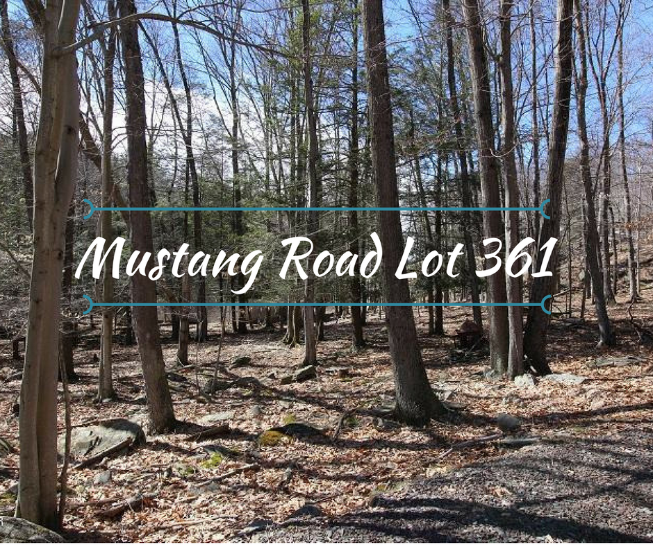 Mustang Road Lot 361,Wallenpaupack Lake Estates - WLE LOT: Walk to Amenities!