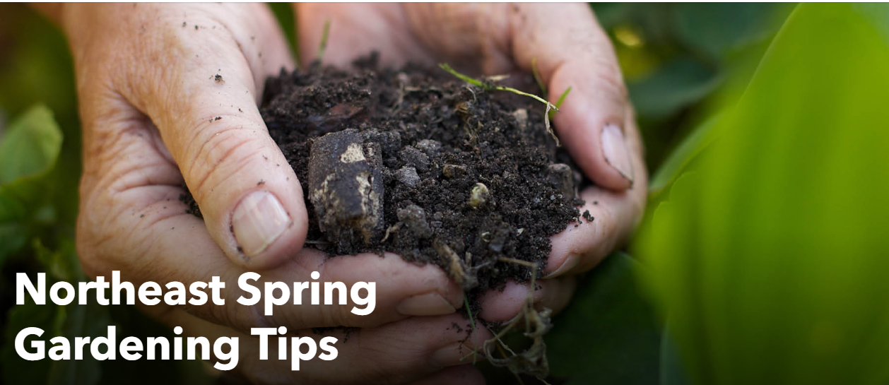 Northeast Spring Gardening Tips
