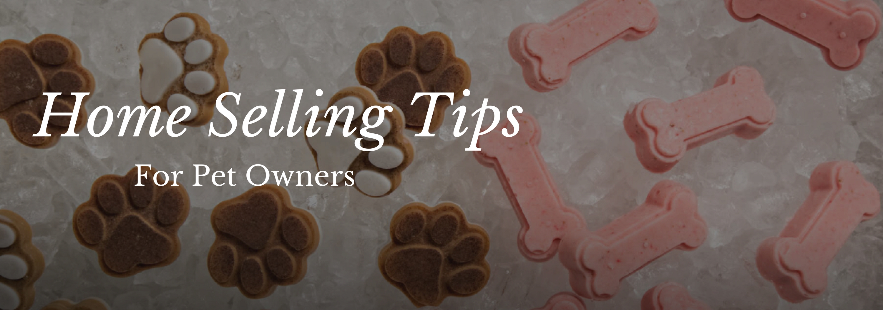 Tips for Pet Owners!