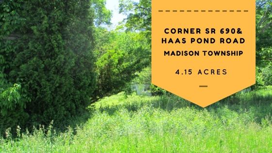 Corner SR 690 & Haas Pond Road: 4+ Acre Corner Lot in Madison Township