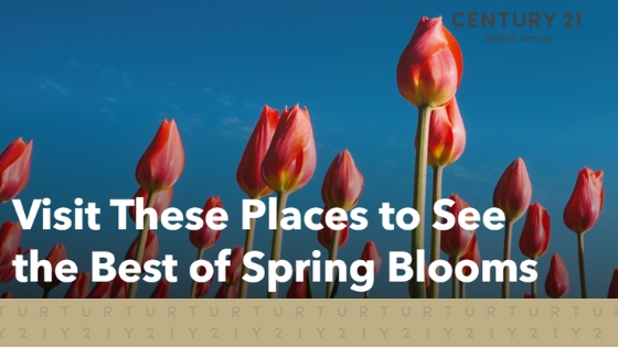 Visit These Places to See the Best of Spring Blooms