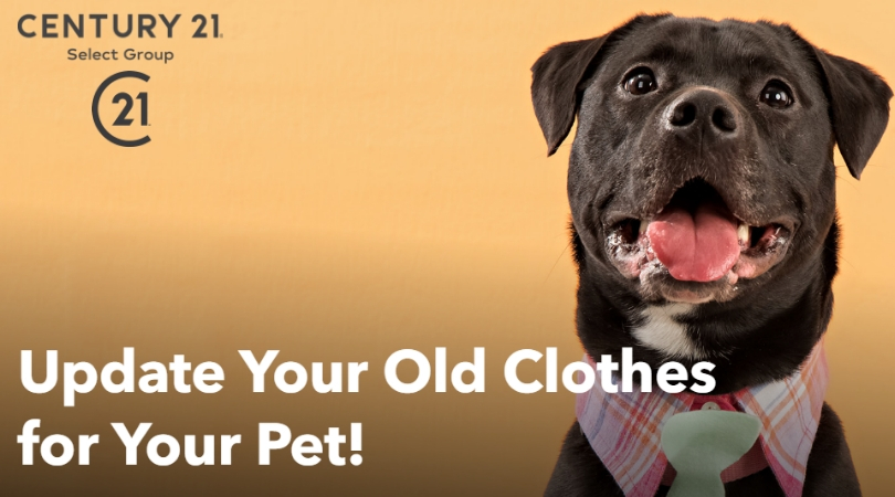 Update Your Old Clothes for Your Pet!
