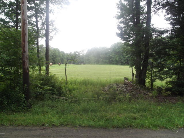 32 Acres in Madison Township