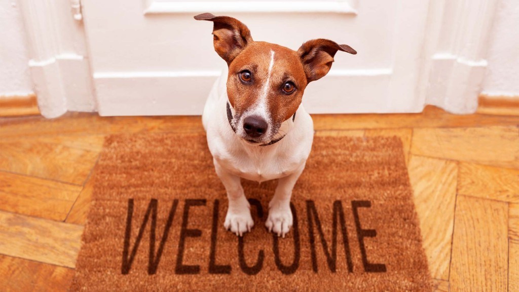 dog-welcome.jpg