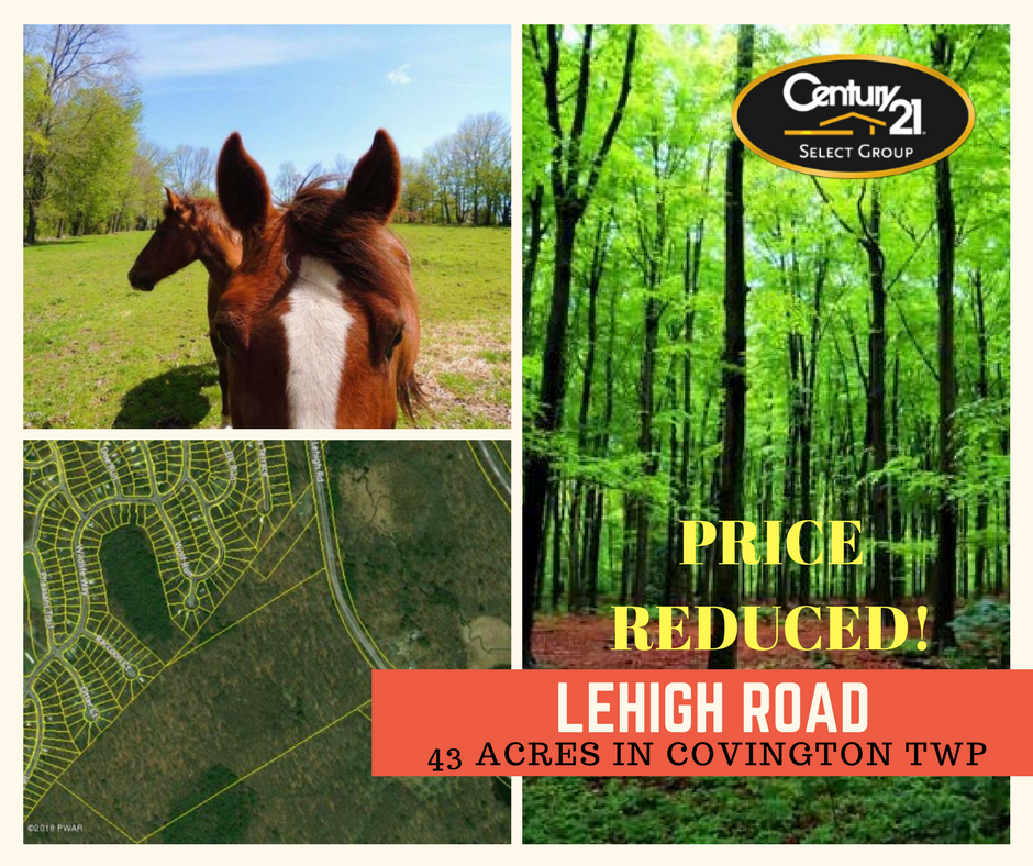 PRICE REDUCED! Lehigh Road: 43 Acres in Covington Twp