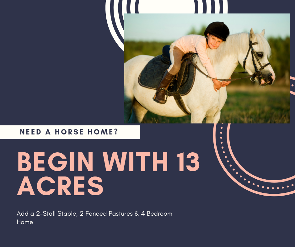 Need A Horse Home? - White Haven Pa.  18661