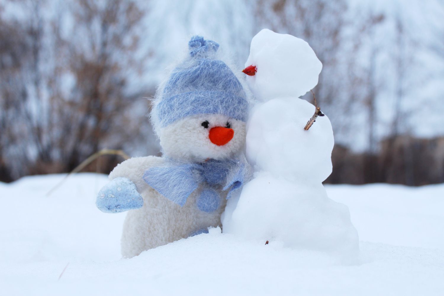Lacawac Snowman Challenge 2019