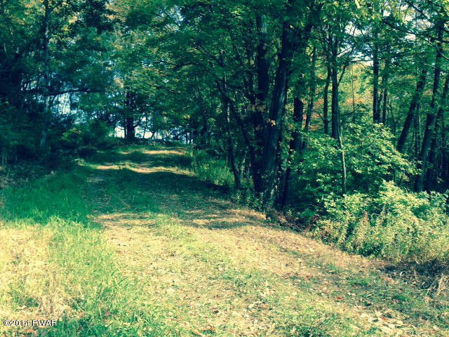 12 Acre Ledgedale Lot of Field and Forest