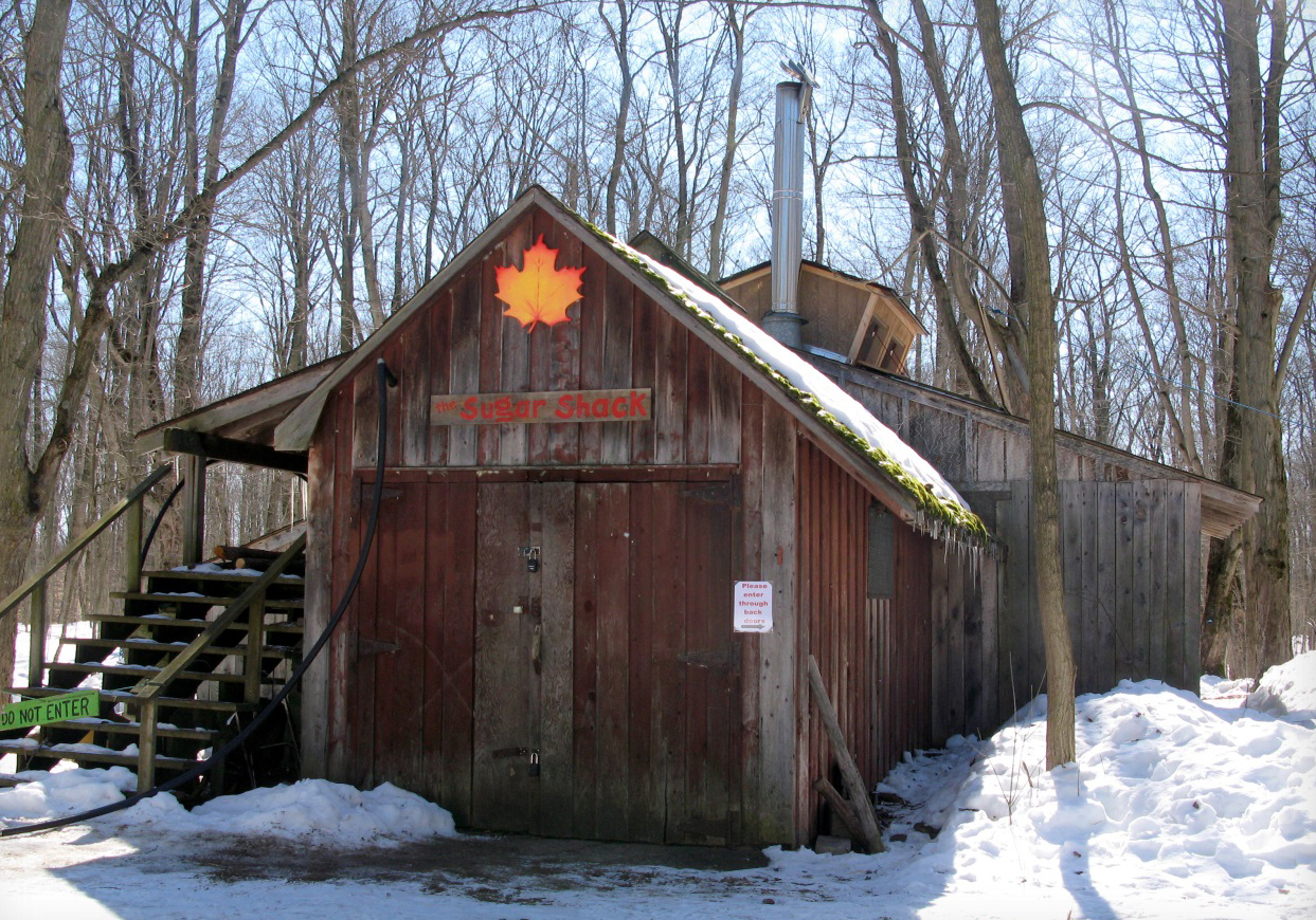 Maple Syrup Time!  Join the Self -Guided Tour!