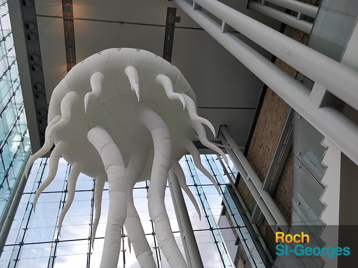 nature museum ottawa jellyfish