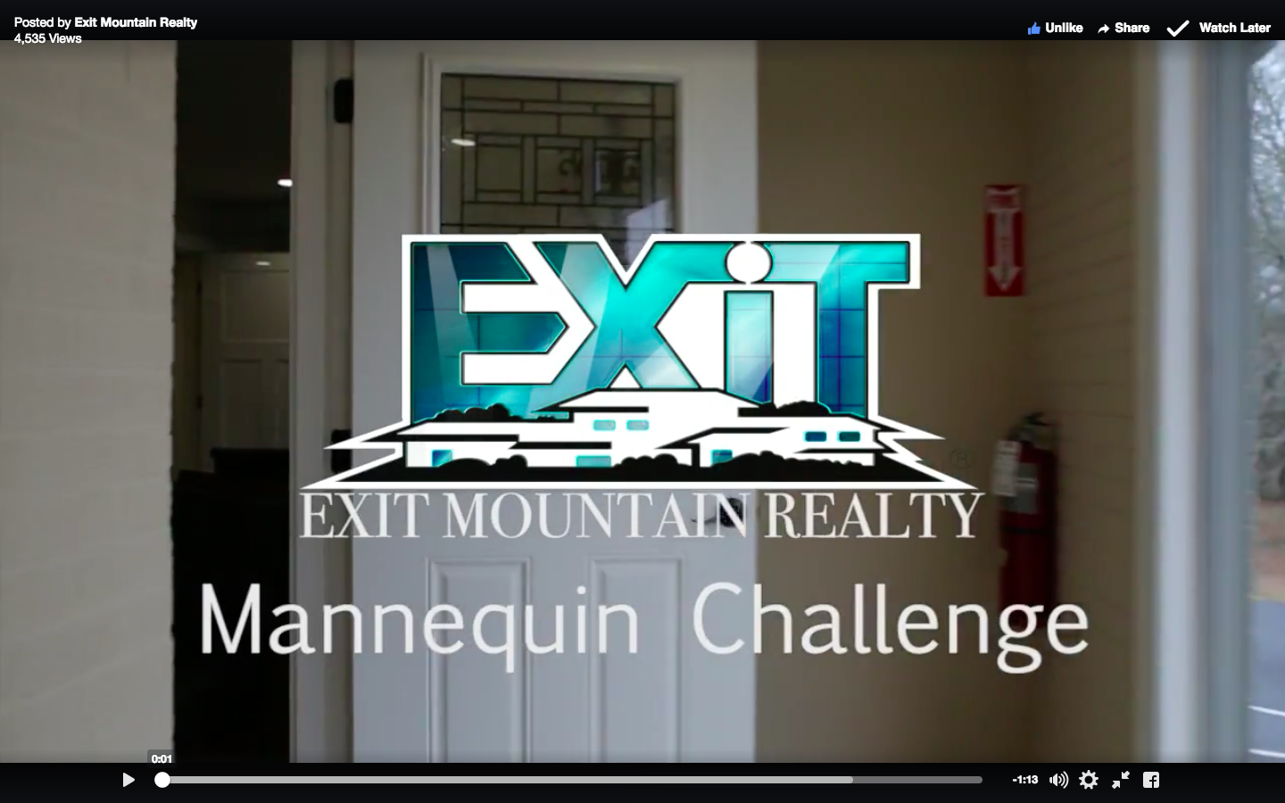Stunning Real Estate Mannequin Challenge